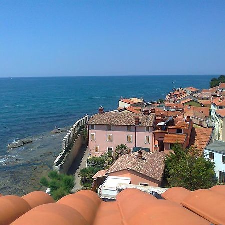 Apartments Edo Novigrad Istria Eksteriør billede