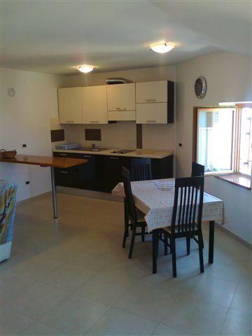 Apartments Edo Novigrad Istria Eksteriør billede