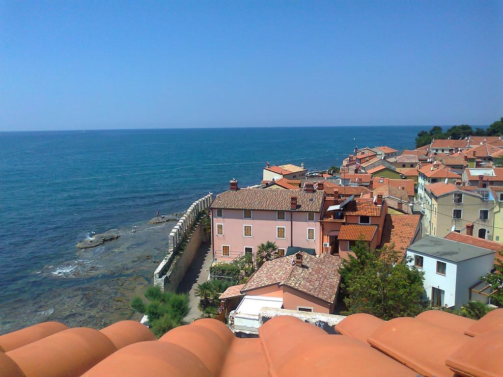 Apartments Edo Novigrad Istria Eksteriør billede